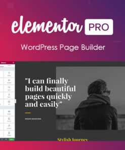 Elementor PRO WordPress Page Builder + Pro Templates