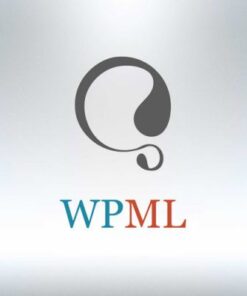 WP Multilingual (WPML)