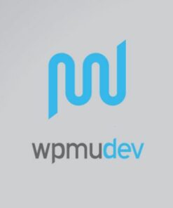 WPMU DEV Plugins