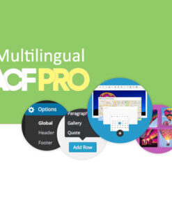 Advanced Custom Fields Multilingual