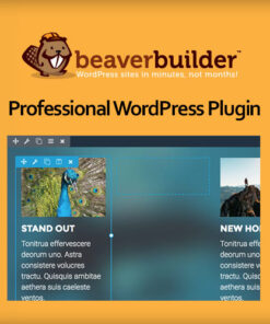 Beaver Builder Professional WordPress Plugin