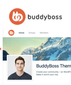 BuddyBoss Theme