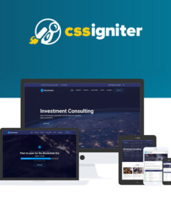 CSS Igniter Blockchain WordPress Theme