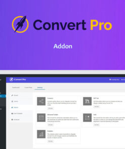 Convert Pro Addon