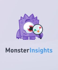 MonsterInsights