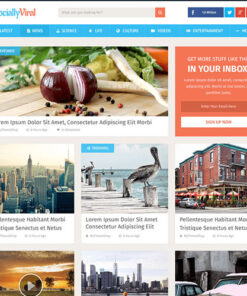 MyThemeShop SociallyViral WordPress Theme