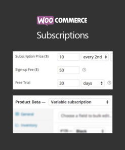 WooCommerce Subscriptions