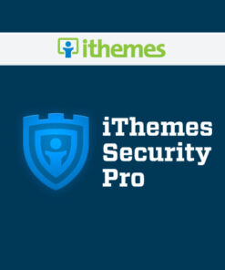 iThemes Security Pro