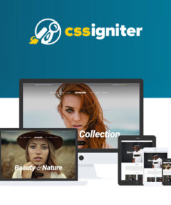 CSS Igniter Amaryllis WordPress Theme