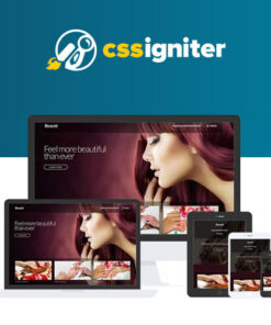 CSS Igniter Beaute WordPress Theme