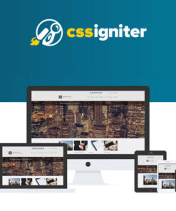 CSS Igniter BusinessTwo WordPress Theme