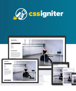 CSS Igniter Eclecticon WordPress Theme