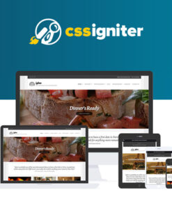 CSS Igniter Igloo WordPress Theme