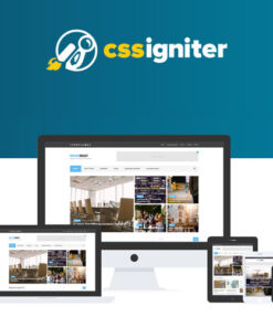 CSS Igniter Noozbeat WordPress Theme