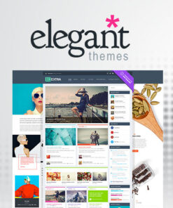 Elegant Themes Extra WordPress Theme