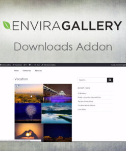 Envira Gallery – Downloads Addon