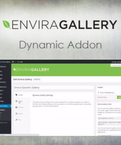 Envira Gallery – Dynamic Addon