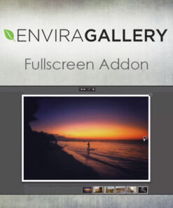 Envira Gallery – Fullscreen Addon