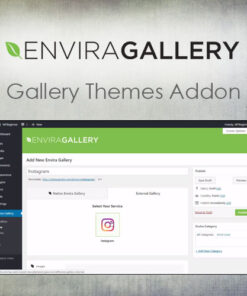 Envira Gallery – Instagram Addon