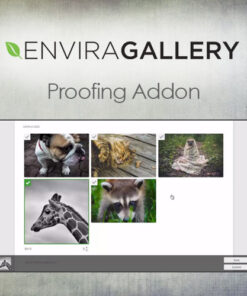 Envira Gallery – Proofing Addon