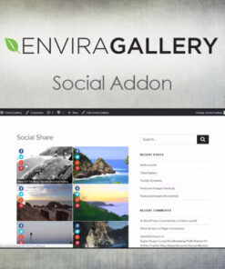 Envira Gallery – Social Addon