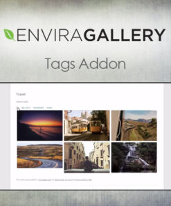 Envira Gallery – Tags Addon