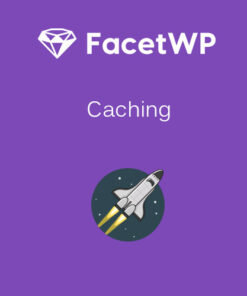 FacetWP – Caching