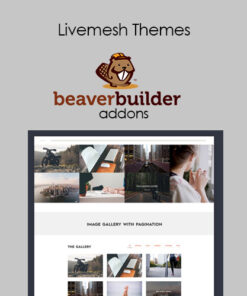 Livemesh Addons for Beaver Builder